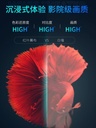 红叶100寸投影仪幕布投影投屏